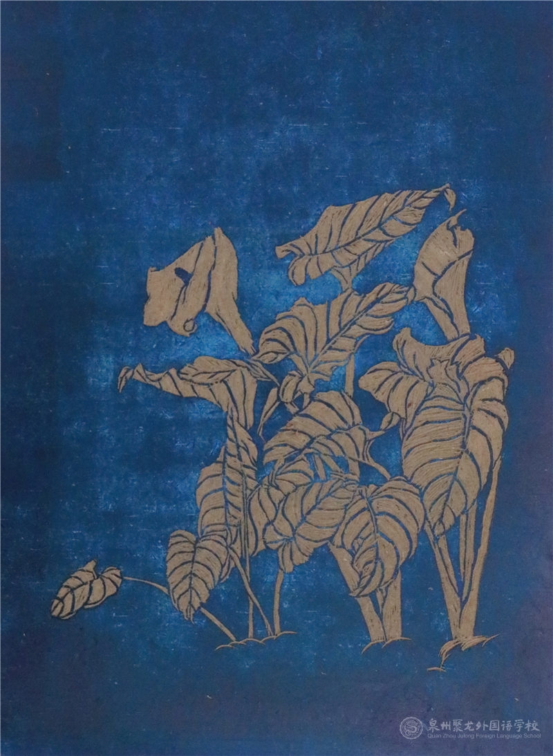 606班楊云鳳同學(xué)