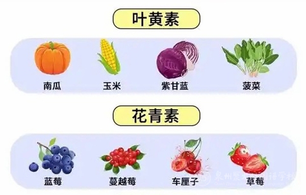 u=2790441582,12207870&fm=253&fmt=auto&app=138&f=JPEG.jpg